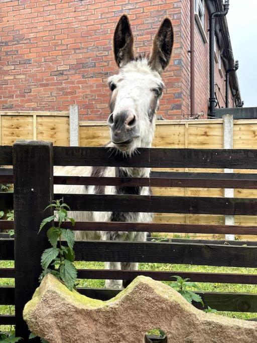 4 Bedroom - Sleep 9 Home In Cheadle Staffordshire - Alton Towers Polar Express Dimmingsdale Peak District Trentham Gardens Water World エクステリア 写真