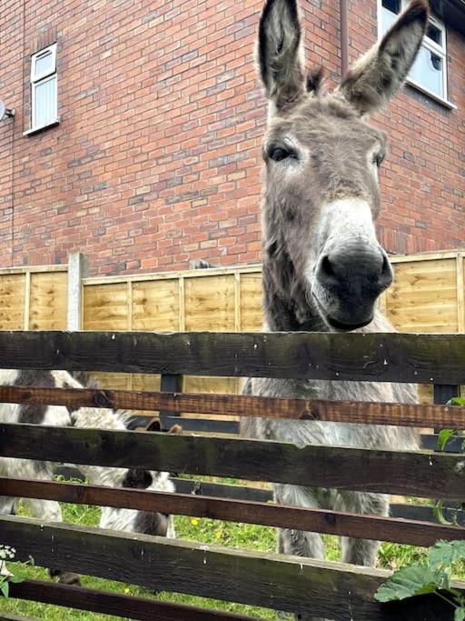 4 Bedroom - Sleep 9 Home In Cheadle Staffordshire - Alton Towers Polar Express Dimmingsdale Peak District Trentham Gardens Water World エクステリア 写真